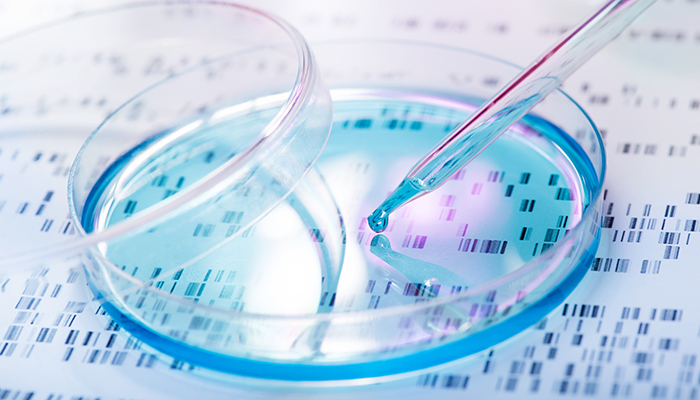 DNA sample being pipetted into petri dish with DNA gel in background